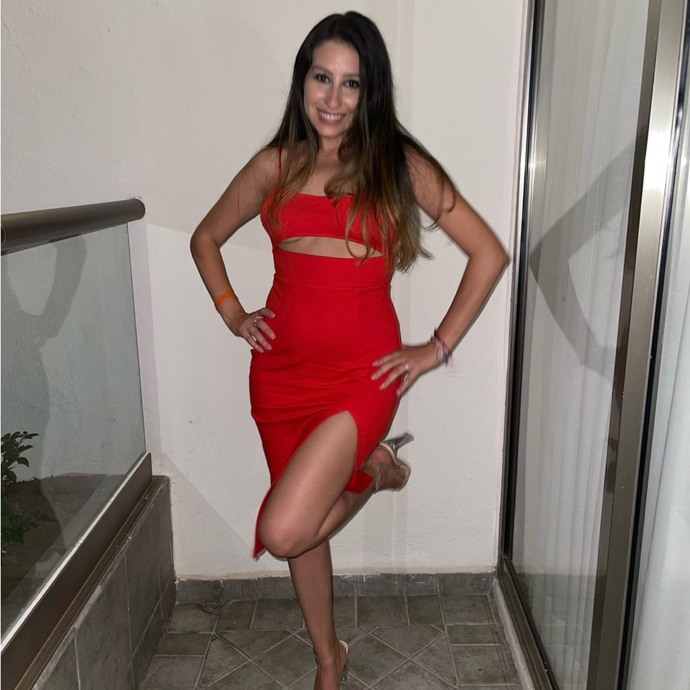 REVOLVE DRESS - Picture 2 of 4